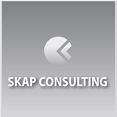 Skap Consulting